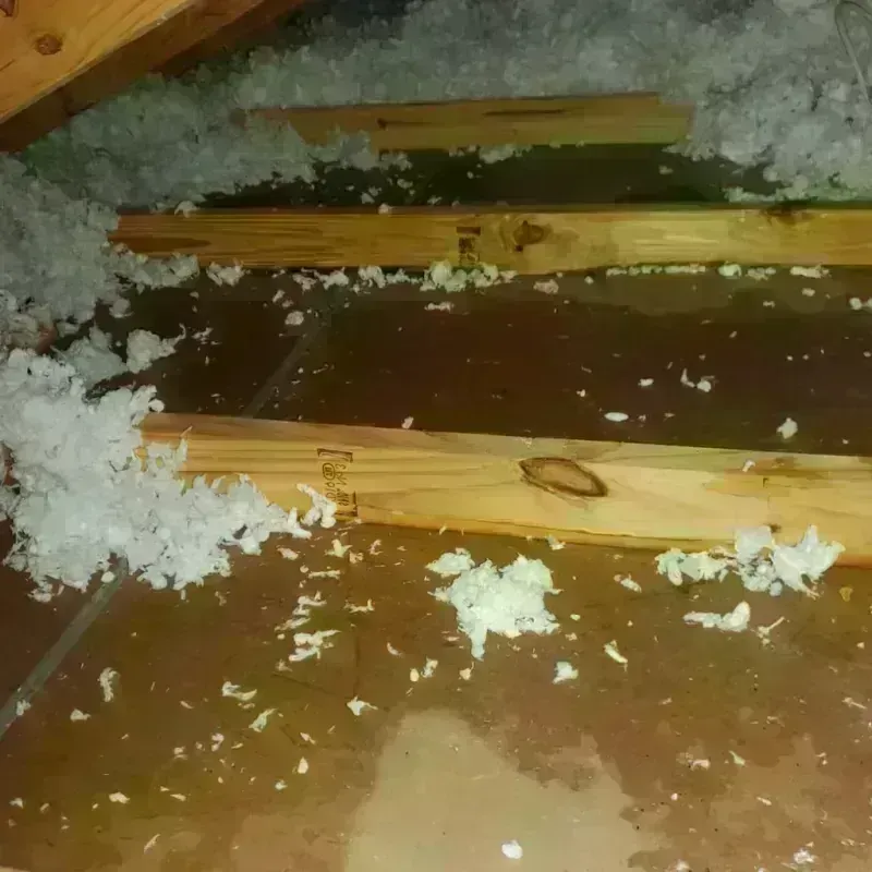 Attic Water Damage in Fayette County, PA